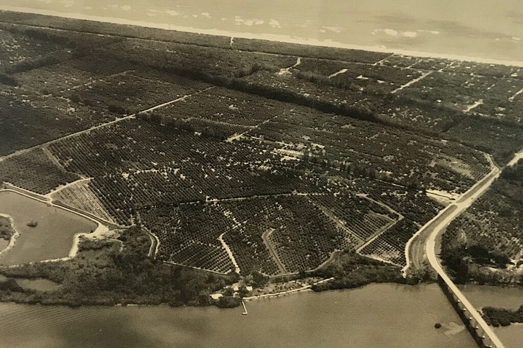 Old Florida Citrus Groves