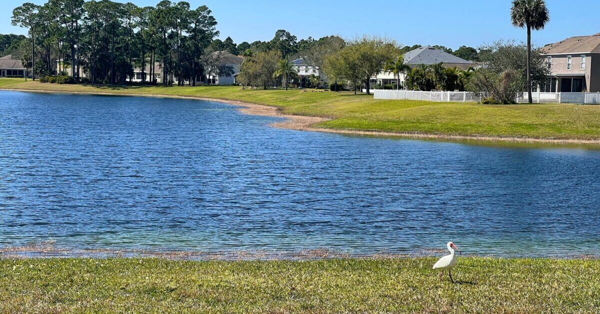 Ultimate Palm Bay Lakefront Home With City Water Sewer