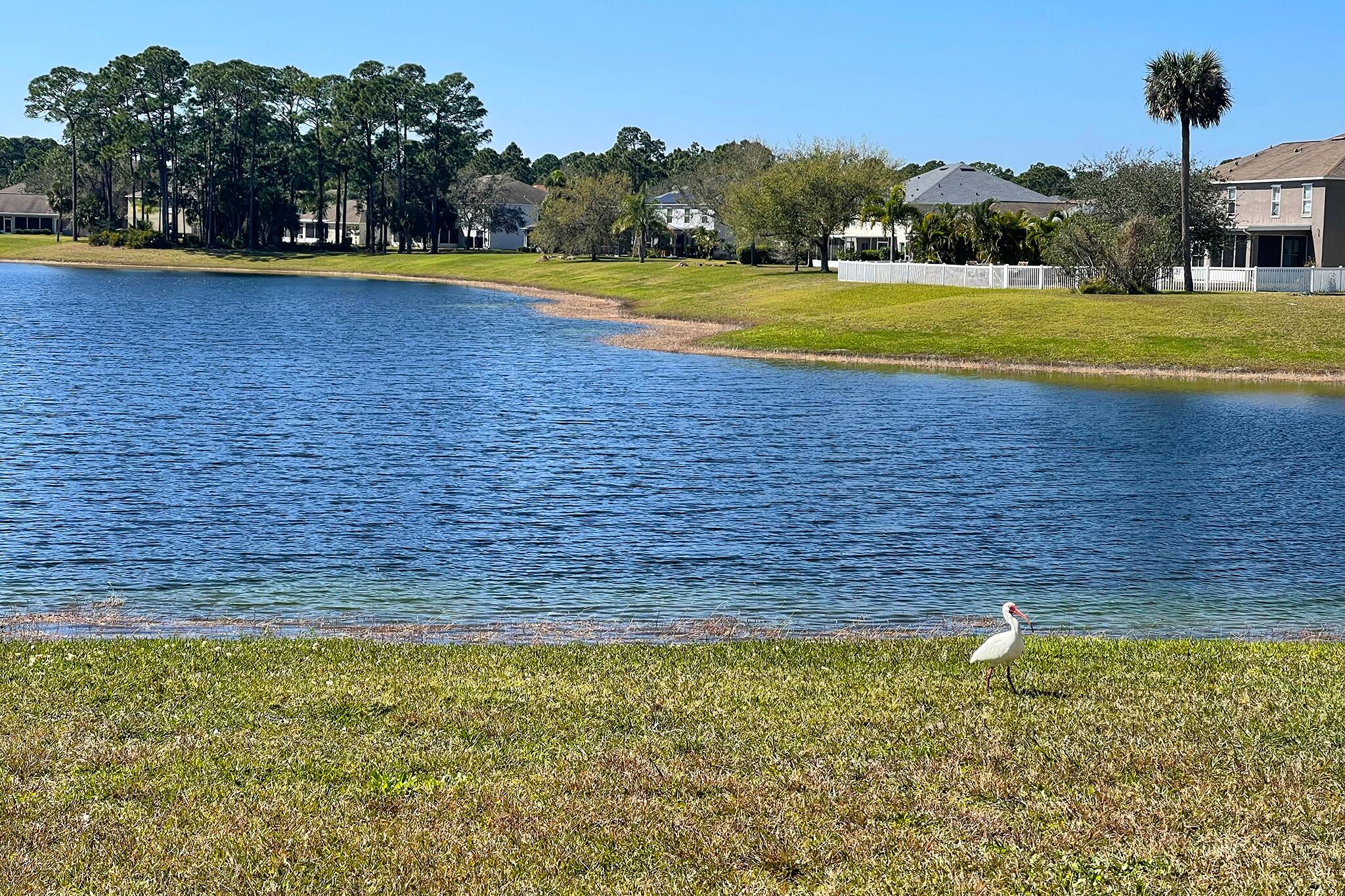 Lakefront Palm Bay